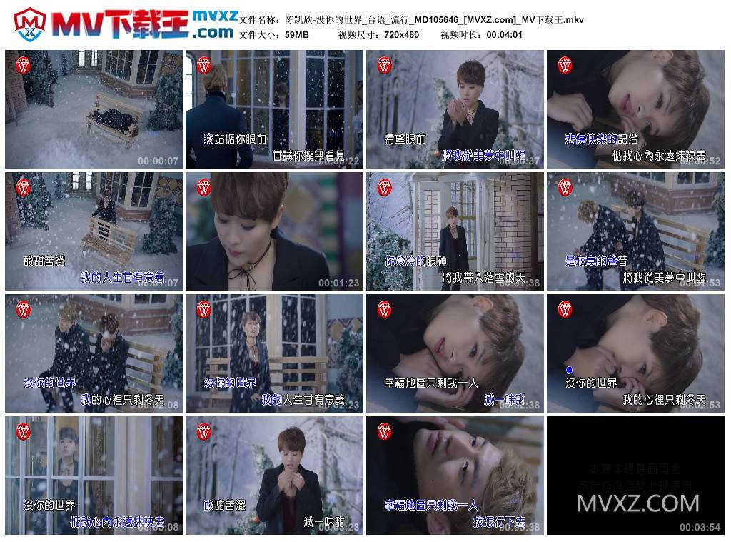 陈凯欣-没你的世界_台语_流行_MD105646